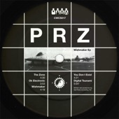 PRZ - You Don't Exist