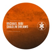 Shaolin Dreams artwork