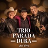 Trio Parada Dura ao Vivo