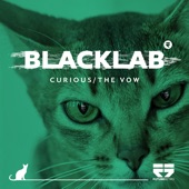 Blacklab - Curious