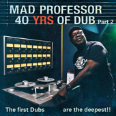 African Dub Signals - Mad Professor
