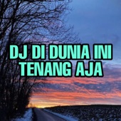 DJ DI DUNIA INI TENANG AJA (feat. Dj Saputra) artwork