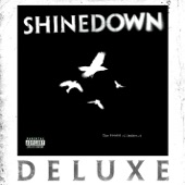 Shinedown - Second Chance (Acoustic Version)
