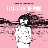 Feather on the Wind artwork