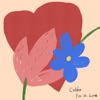 Colde - I'm In Love