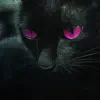 Catfight - Single album lyrics, reviews, download