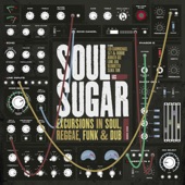 Soul Sugar - Out in the rain (feat. Booker Gee)