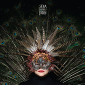 Feathers - Sena Dagadu