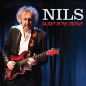 Caught in the Groove - Nils
