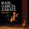 Raúl García Zárate, In Memoriam (1932 - 2017), 2017