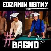 Egzamin Ustny artwork