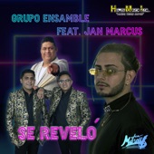 Se Reveló (feat. Janmarcus) artwork