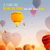 Blow My Mind (S-Tone Remix) [feat. Afra Kane] - Single album lyrics, reviews, download