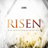 Risen (feat. Shirel) artwork