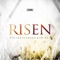 Risen (feat. Shirel) artwork