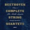 String Quartet No. 9 in C Major, Op. 59 No. 3 "Razumovsky": II. Andante con moto quasi allegretto artwork