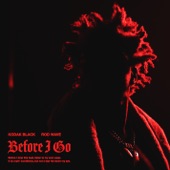 Before I Go (feat. Rod Wave) artwork