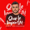 Que Le importa - Single