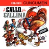Conjunto Cuncumen - Una Triste Palomita / Mariquita Se Llamaba / No Se Puede