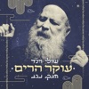 עוקר הרים - Single