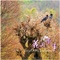 Swinging Willows in the Spring - Hung Chi-Feng, Ragi Lierner, Luo Qi-Rui & Yang Su-Hsiung lyrics