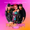 Mami Papi (feat. Karolkonk & Dixson Waz) [Remix] song lyrics