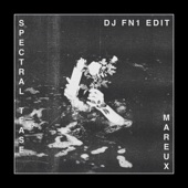 Spectral Tease (Dj Fn1 Edit) artwork