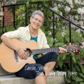 Carole Wise - Long Way Home