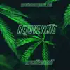 Rejuvenate - Single album lyrics, reviews, download
