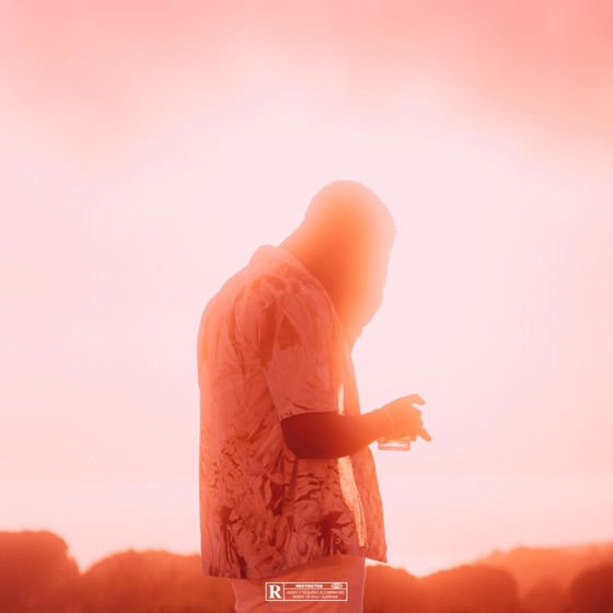 Cover artwork for Dis moi comment.