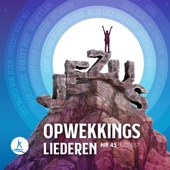 Prijs De Koning (851) [Live] artwork