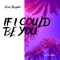 If I Could Be You - Van Snyder lyrics