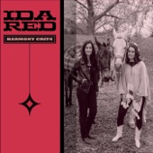 Ida Red - Twin Guitar Special