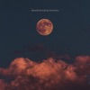 Nocturne - Single