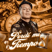 Perdí Mi Tiempo artwork