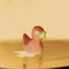 Taipamised - Single