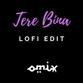 Tere Bina (Lofi Edit) artwork