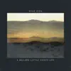 A Billion Little Lights (Live) album lyrics, reviews, download