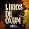 Lírios de Oxum (feat. Nélio Jr.) [Piano Play] - João Martins lyrics