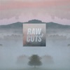 Chillhop Raw Cuts 2, 2017