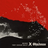 Shadows (feat. Troy Cassar-Daley) artwork