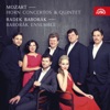 Radek Baborak & Yu Kosuge - Horn Concerto in E-Flat Major, K. 495: II. Romance. Andante cantabile