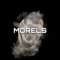 Morels - Jas lyrics
