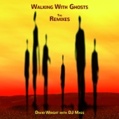 Walking With Ghosts Remixes - EP artwork