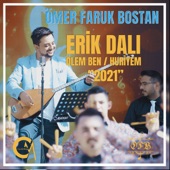 Erik Dalı & Ölem Ben & Huriyem (Potpori 2021) artwork