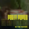 In the Water (Party Pupils Remix) [feat. Quinn XCII] - Single album lyrics, reviews, download
