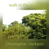 Walk in the Parks - Single album lyrics, reviews, download