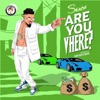 Are You Vhere? - Single