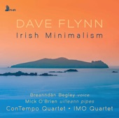 Dave Flynn: Irish Minimalism artwork