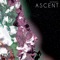 Ascent - Henibal lyrics